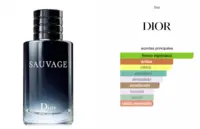 Sauvage - Cristian Dior
