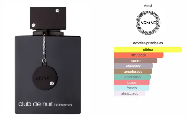 Club de Nuit Intense – Armaf